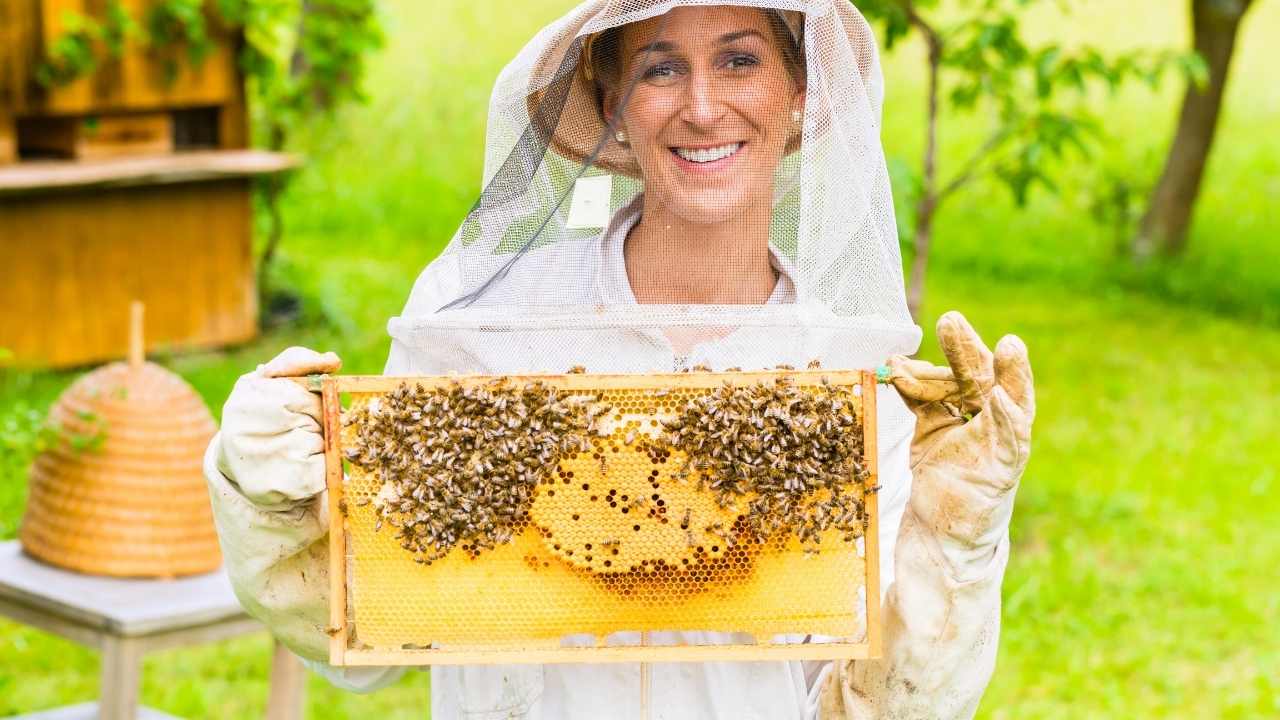 beekeeping in winter