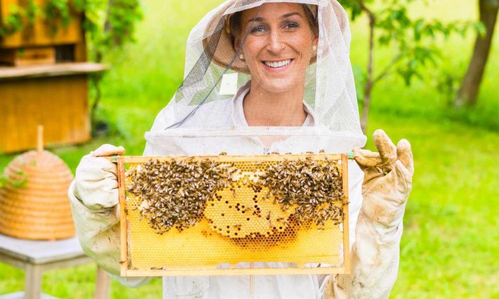 Bee Calm And Carry On: Embrace Beekeeping For A Relaxing And Rewarding Hobby