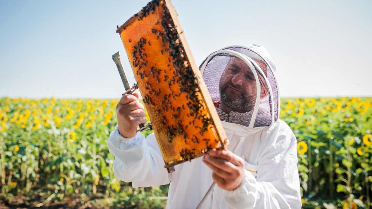 scientific beekeeping