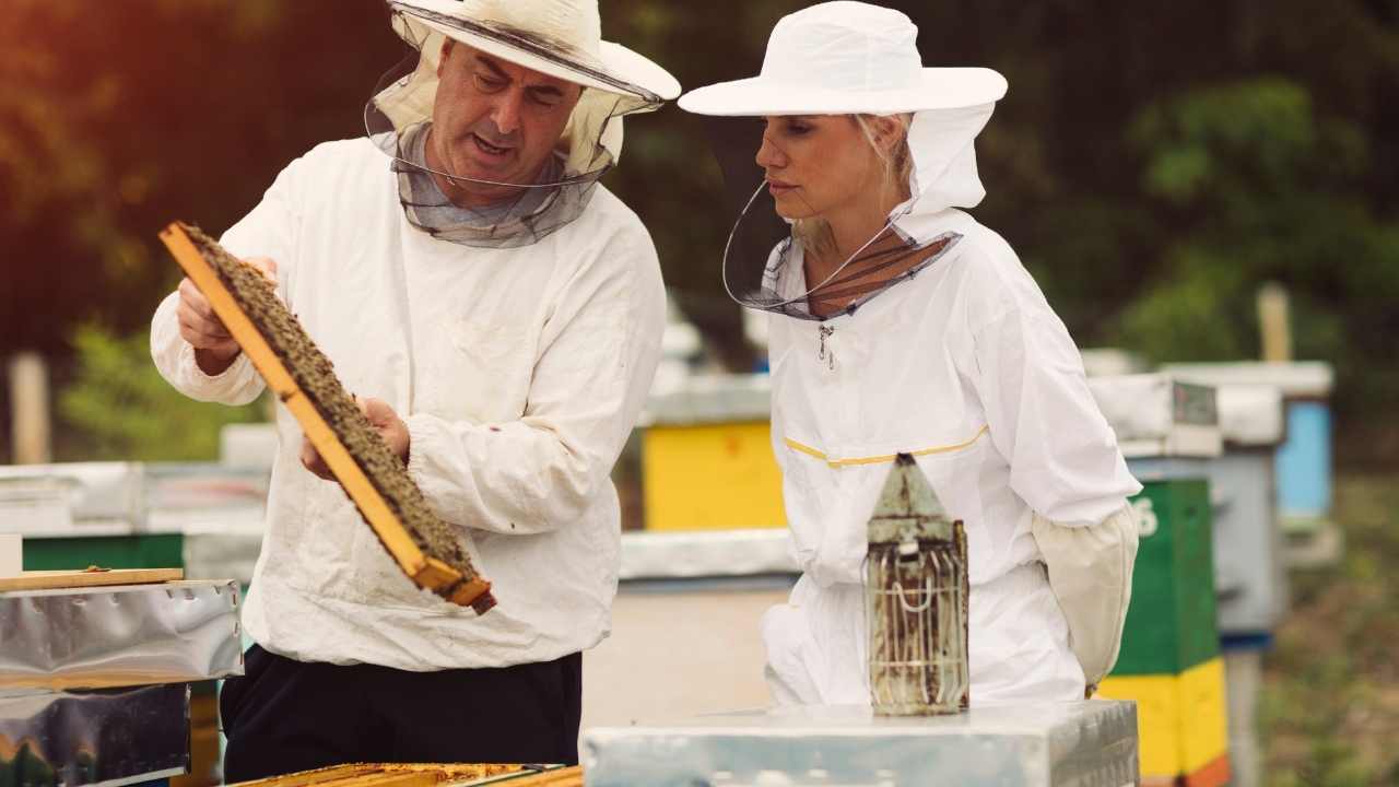 science of beekeeping