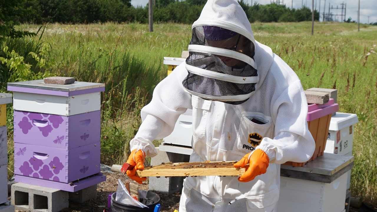 science of beekeeping crossword