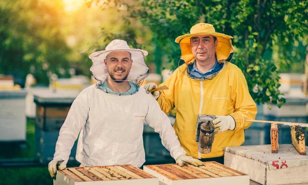 Get Your Buzz On: Essential Equipment Every Aspiring Beekeeper Should Own