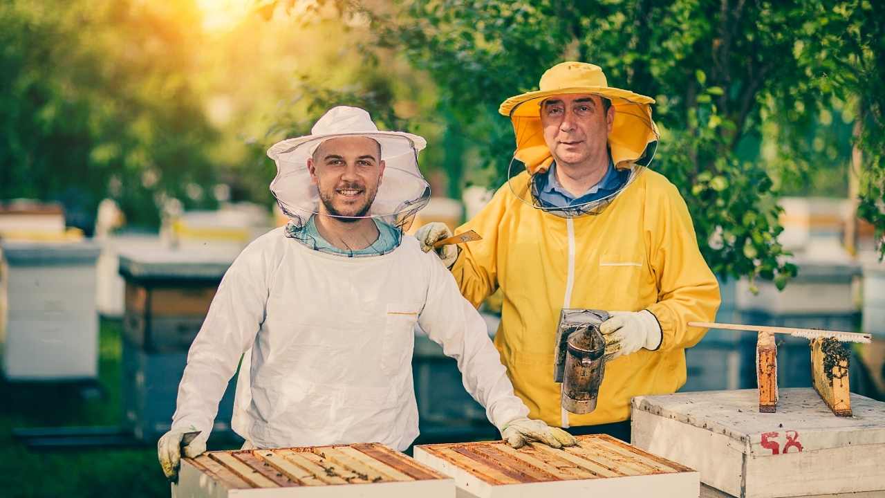 beekeeping for dummies 2021