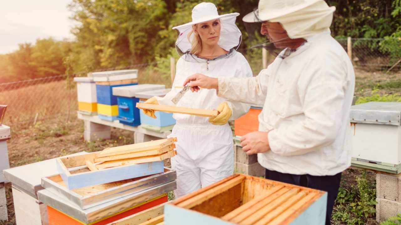 beekeeping supplies near me clio michigan