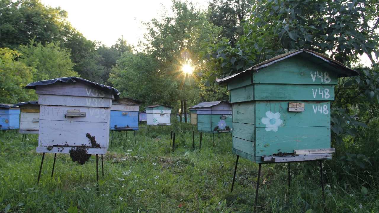 beekeeping suit