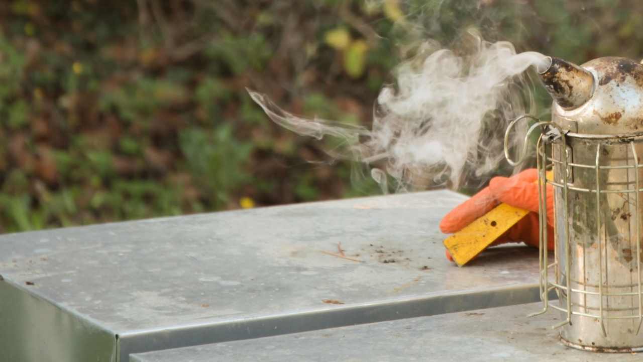 beekeeping in winter