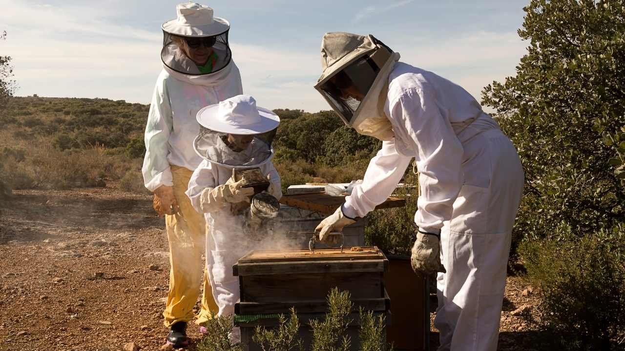 kelley beekeeping