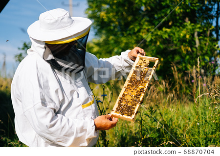 beekeeping classes near me