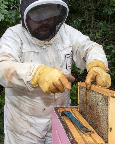 beekeeping equipment near me