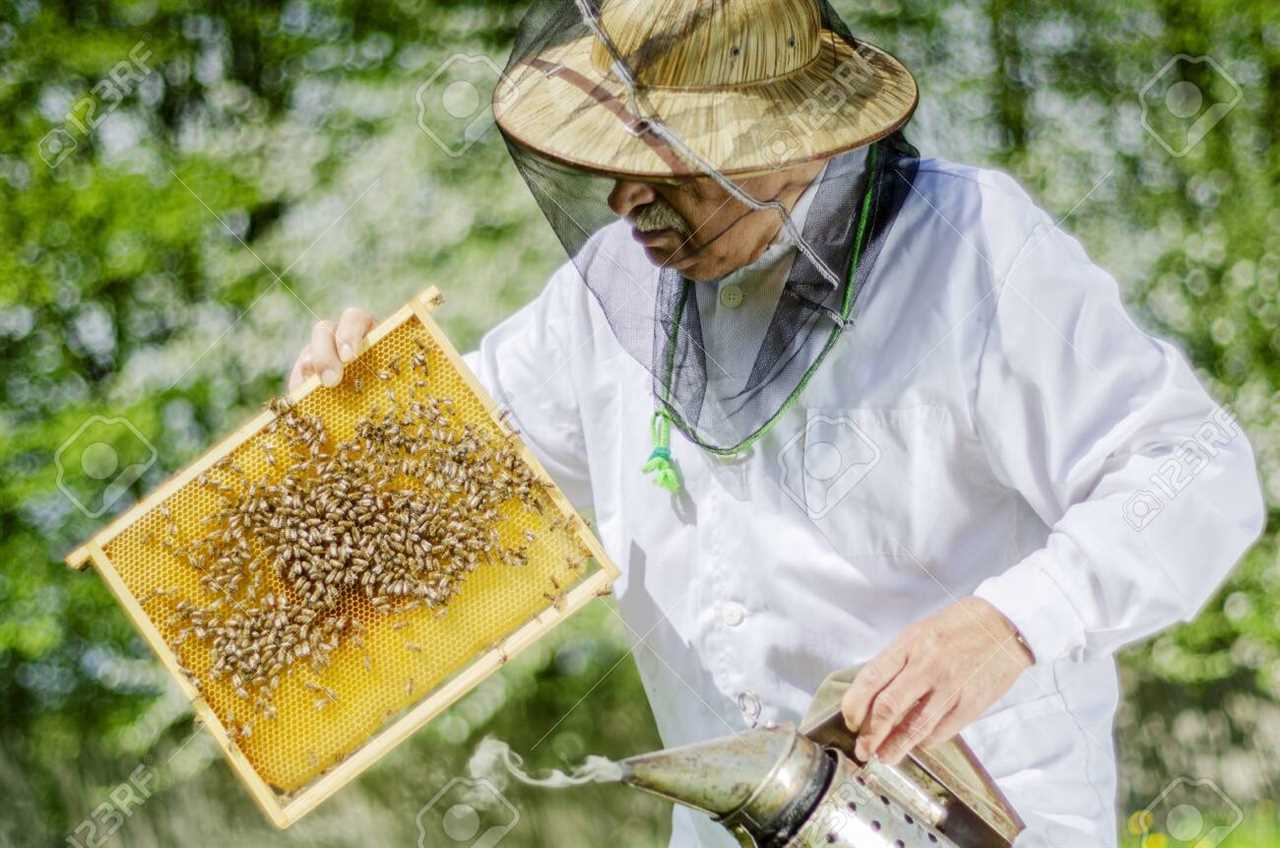 beekeeping supplies canada