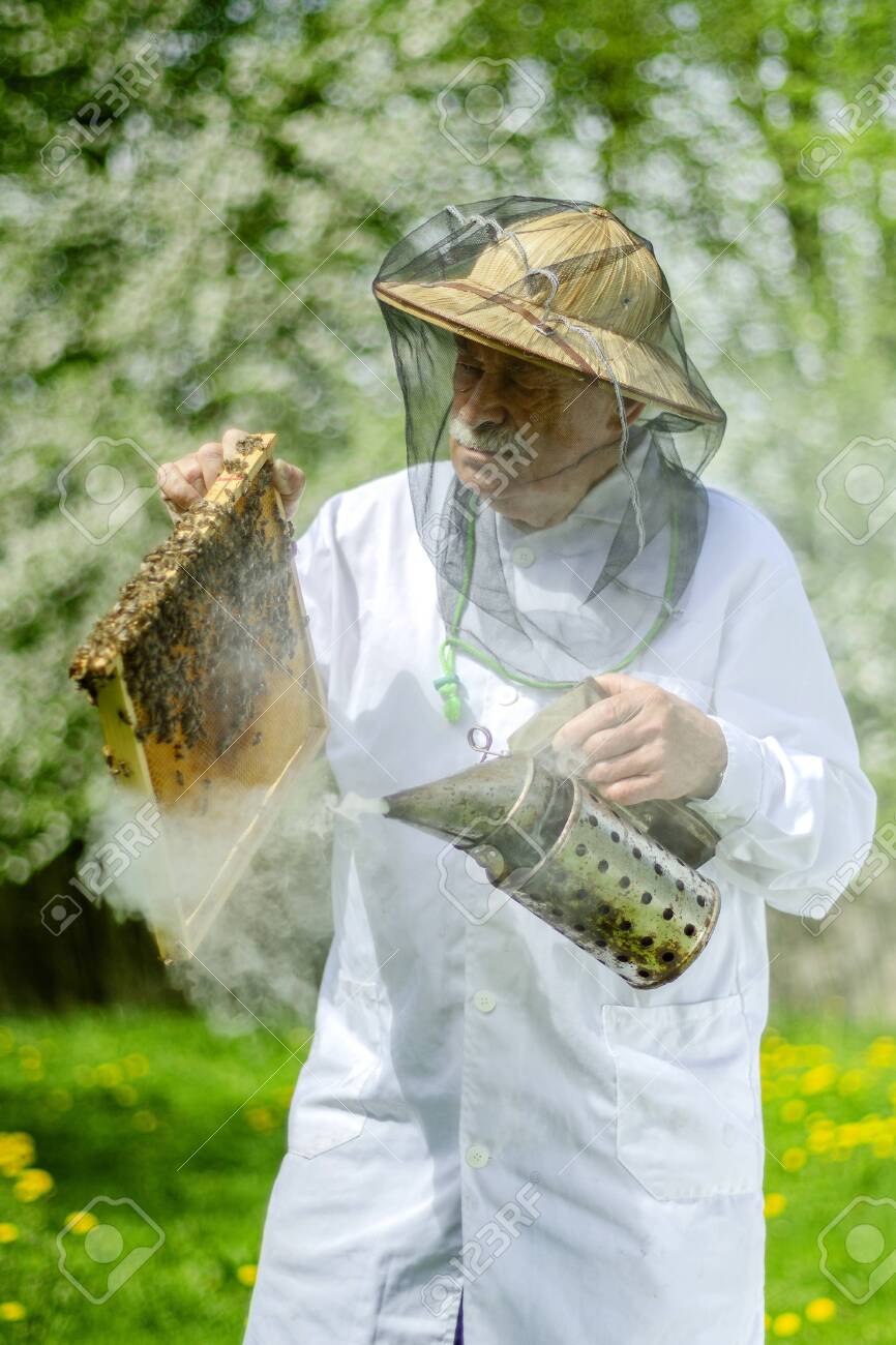 beekeeping classes near me