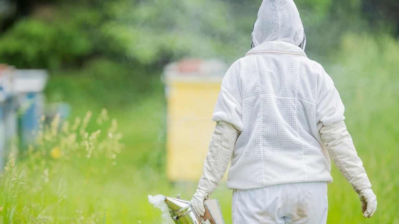 beekeeping in winter