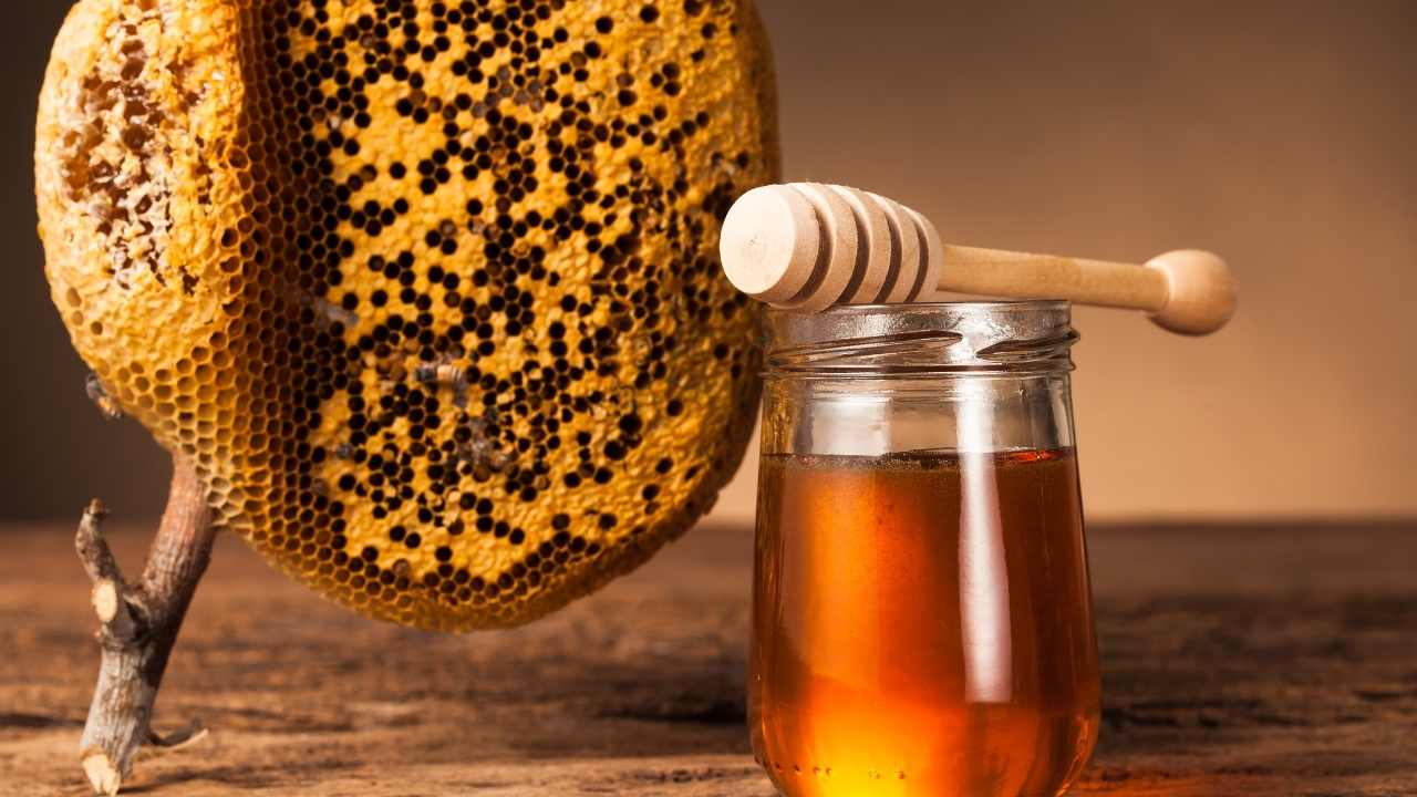 beekeeping in winter