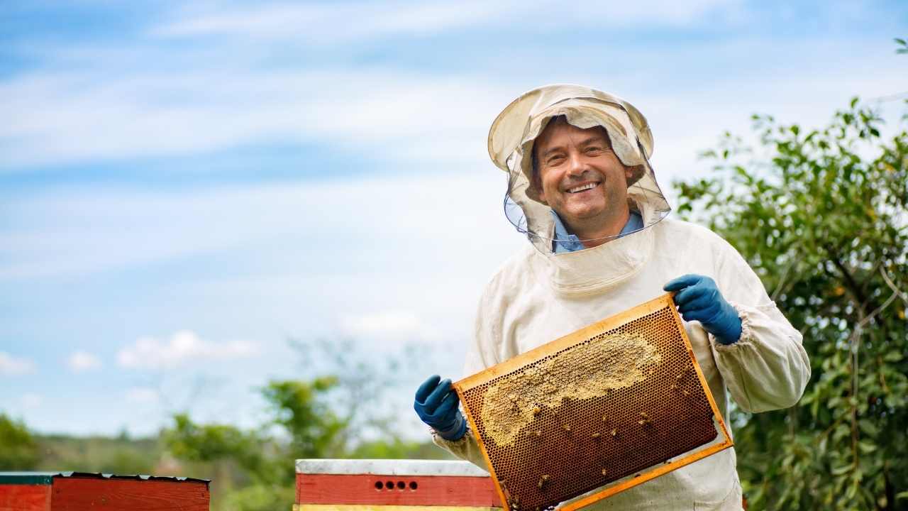 beekeeping suits uk