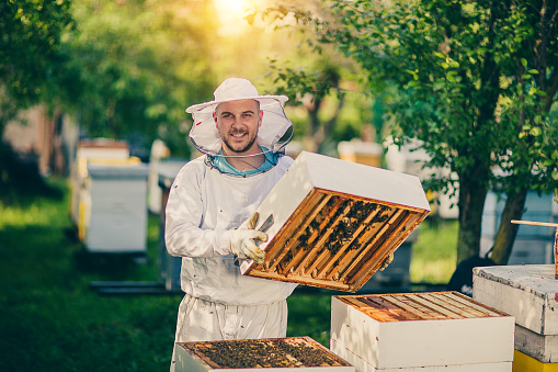 science of beekeeping crossword