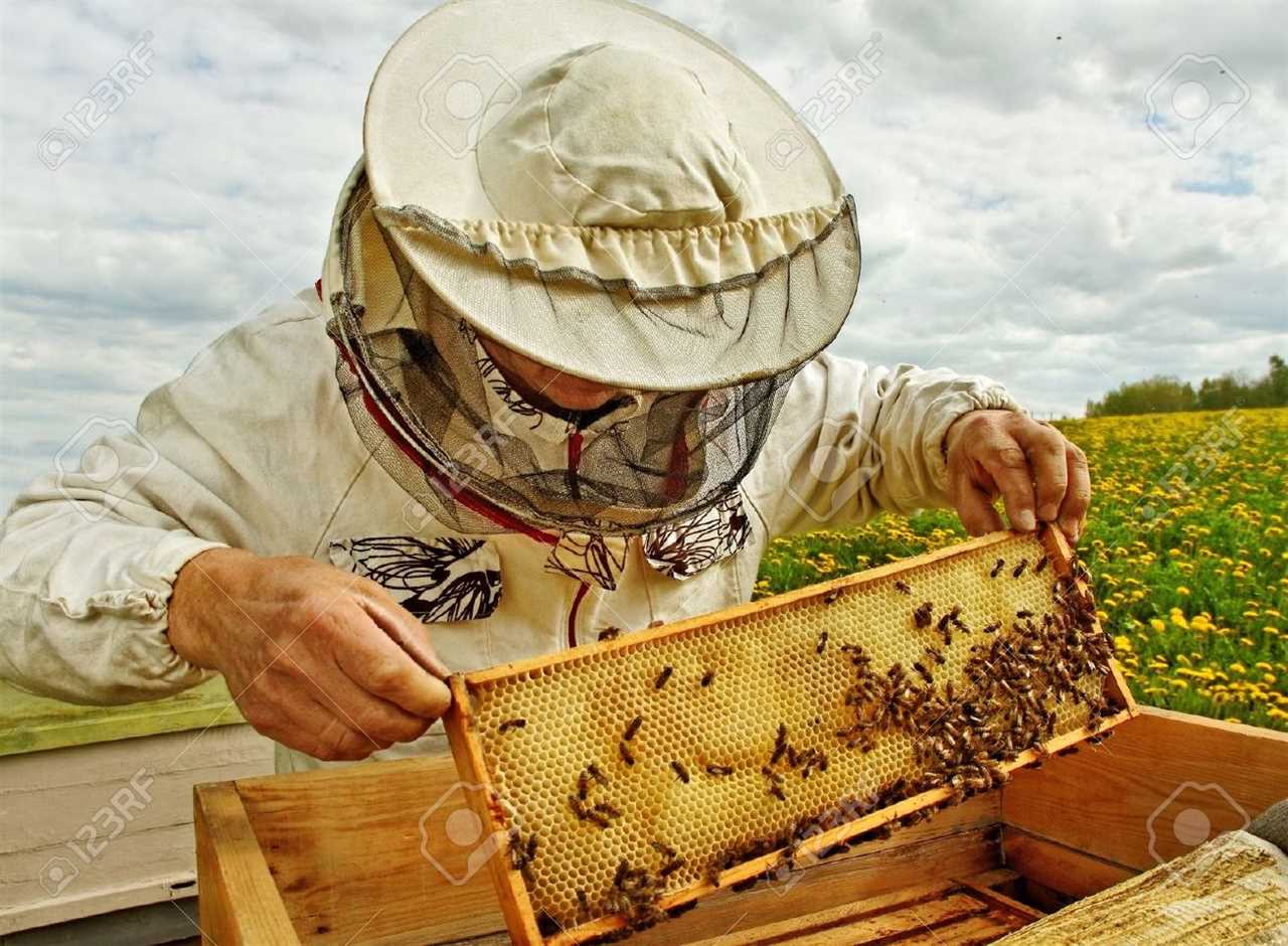 thornes beekeeping