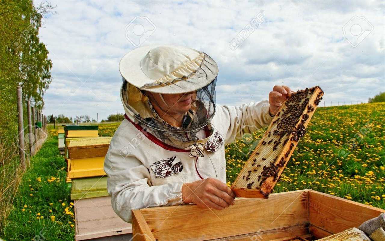 backyard beekeeping