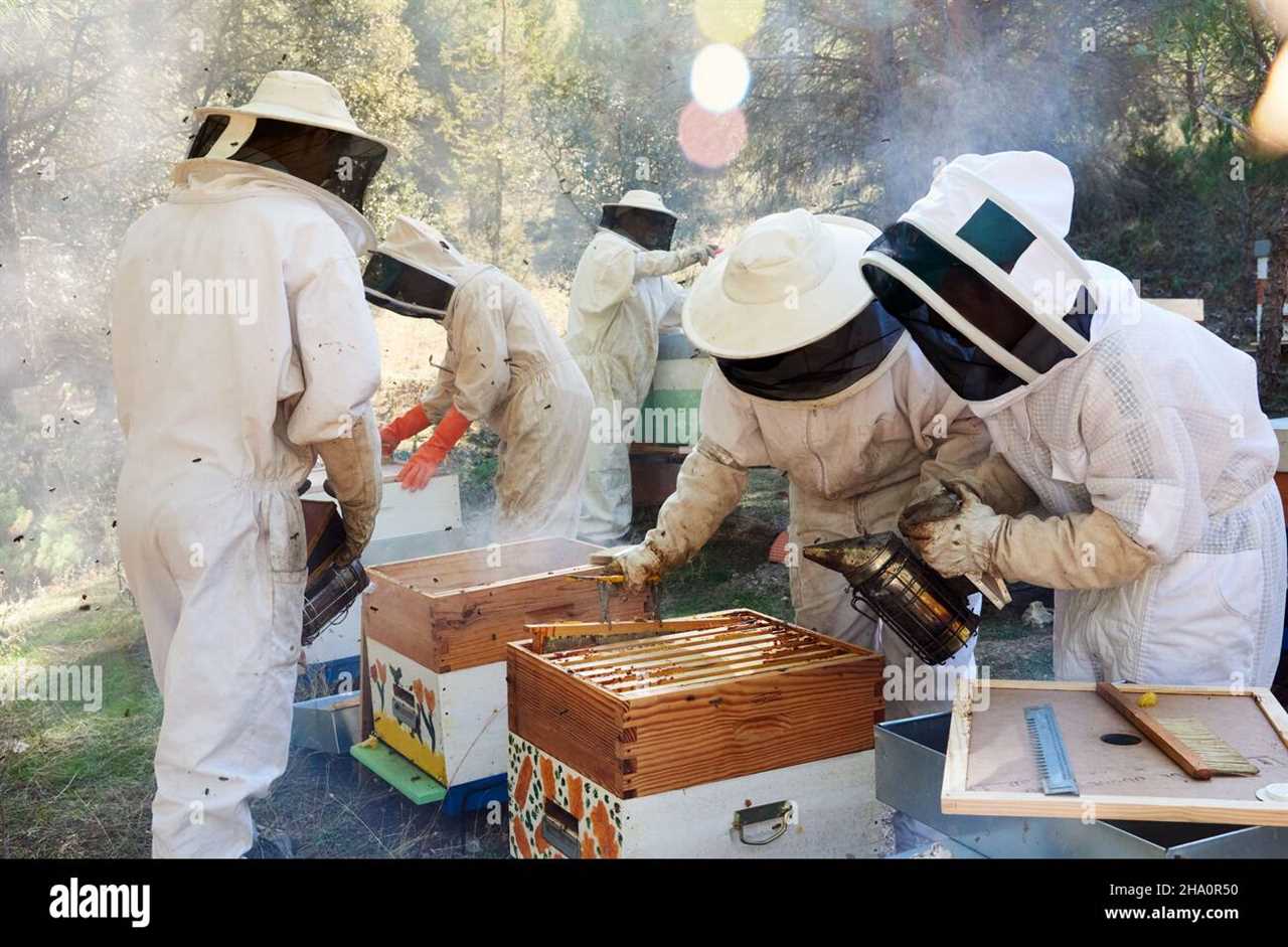 beekeeping 101 book