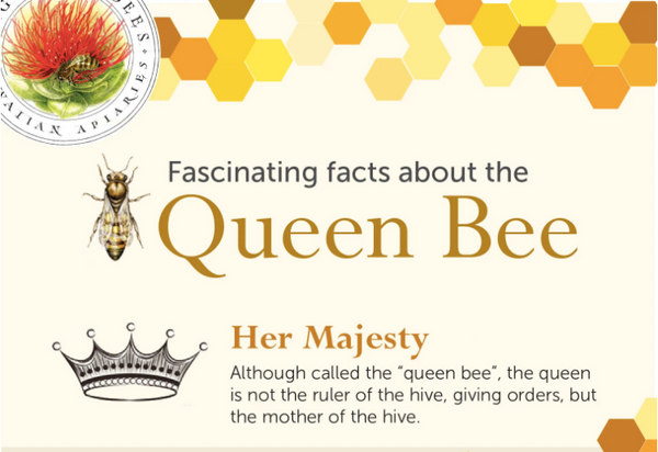 beekeeping 101 facts